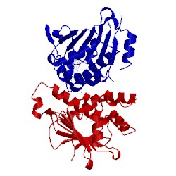 Image of CATH 4nh7