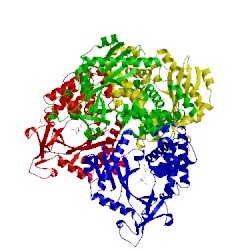 Image of CATH 4nxu