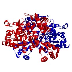 Image of CATH 4o2x