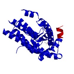 Image of CATH 4okx