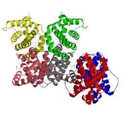 Image of CATH 4oq5