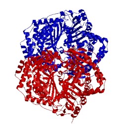 Image of CATH 4pf7