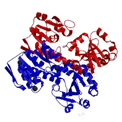 Image of CATH 4pm4