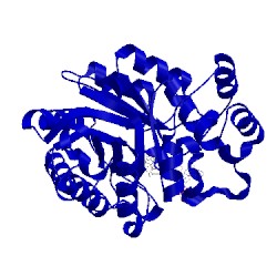 Image of CATH 4pr4