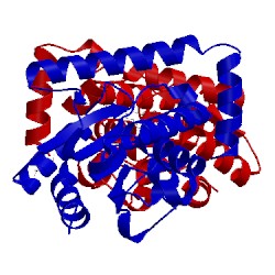 Image of CATH 4pse