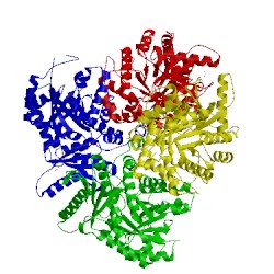 Image of CATH 4rpp