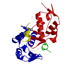 Image of CATH 4rxz