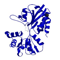Image of CATH 5cc2