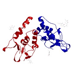 Image of CATH 5cm4