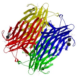 Image of CATH 5cna