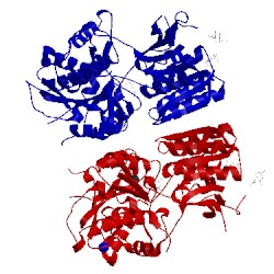 Image of CATH 5cni