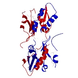 Image of CATH 5crc