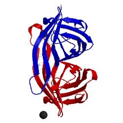 Image of CATH 5cse