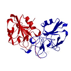 Image of CATH 5csq