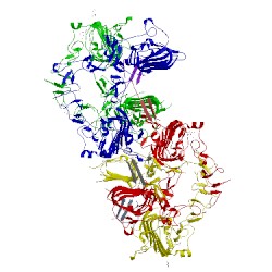 Image of CATH 5cus