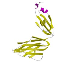 Image of CATH 5cusL