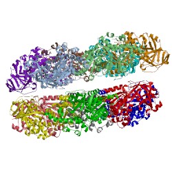 Image of CATH 5dyi