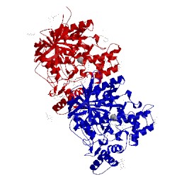 Image of CATH 5dyt