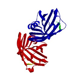 Image of CATH 5e8f