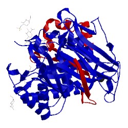 Image of CATH 5e9b