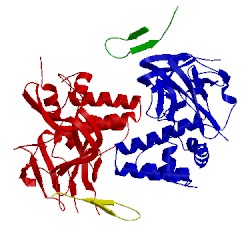 Image of CATH 5ecj