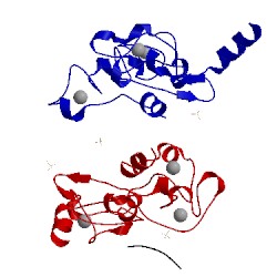 Image of CATH 5elh