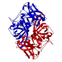 Image of CATH 5f4o