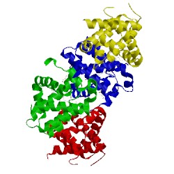 Image of CATH 5fdr