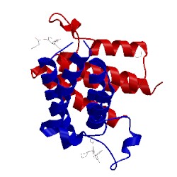 Image of CATH 5fdz