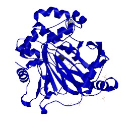 Image of CATH 5fp8