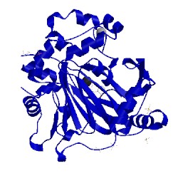 Image of CATH 5fpa