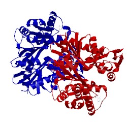 Image of CATH 5fpd