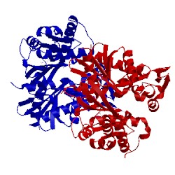 Image of CATH 5fpe