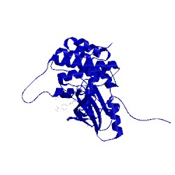 Image of CATH 5fxs