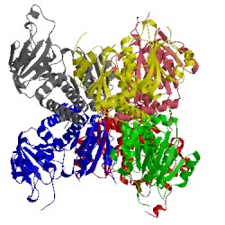 Image of CATH 5g1o