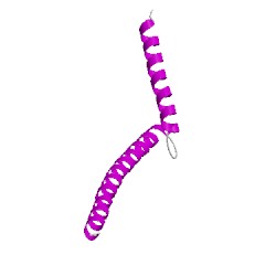 Image of CATH 5gnjI00