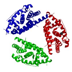 Image of CATH 5hcv