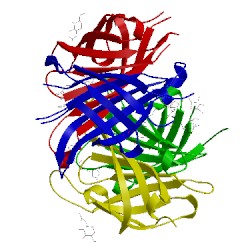 Image of CATH 5hlm