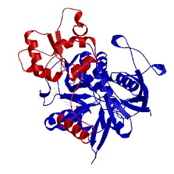 Image of CATH 5i56