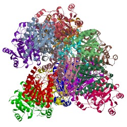 Image of CATH 5ifl