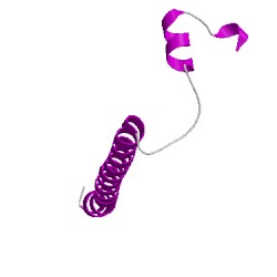 Image of CATH 5ifmL03