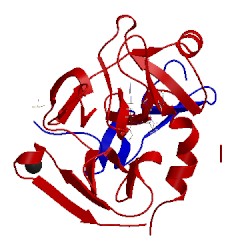 Image of CATH 5jba