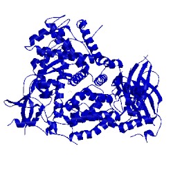 Image of CATH 5kae
