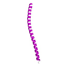 Image of CATH 5kj7G00