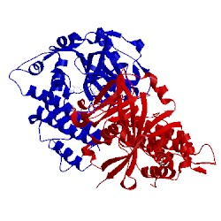 Image of CATH 5kpo