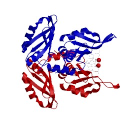 Image of CATH 5kw6