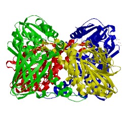 Image of CATH 5lgs