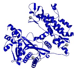 Image of CATH 5lku