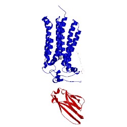 Image of CATH 5lxa