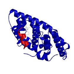 Image of CATH 5lyq